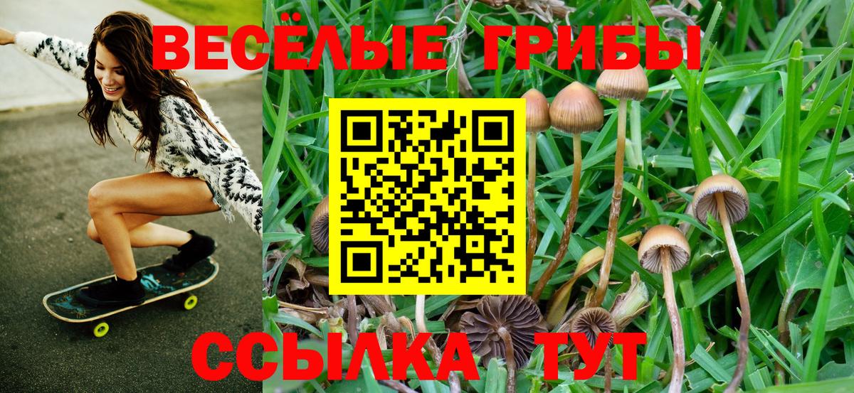 Жуковский  Галлюциногенные грибы прущие грибы  Вход с VPN 